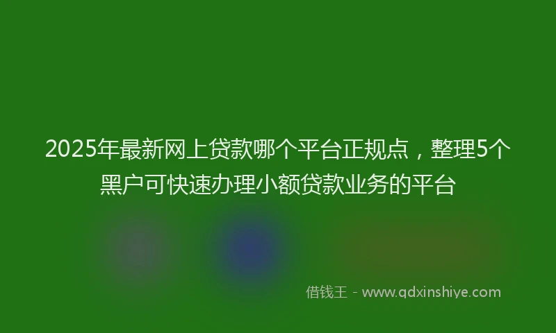2025年最新网上贷款哪个平台正规点，整理5个黑户可快速办理小额贷款业务的平台