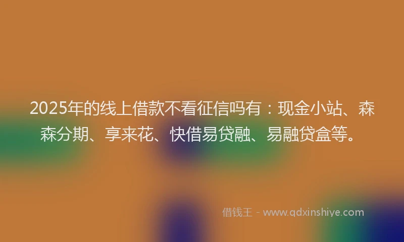 2025年的线上借款不看征信吗有：现金小站、森森分期、享来花、快借易贷融、易融贷盒等。
