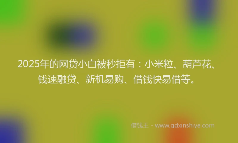 2025年的网贷小白被秒拒有:小米粒、葫芦花、钱速融贷、新机易购、借钱快易借等。