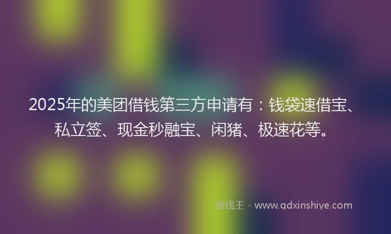 2025年的美团借钱第三方申请有：钱袋速借宝、私立签、现金秒融宝、闲猪、极速花等。