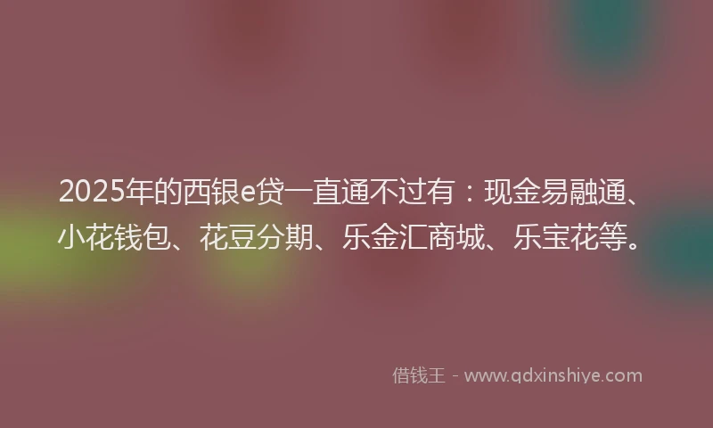 2025年的西银e贷一直通不过有：现金易融通、小花钱包、花豆分期、乐金汇商城、乐宝花等。