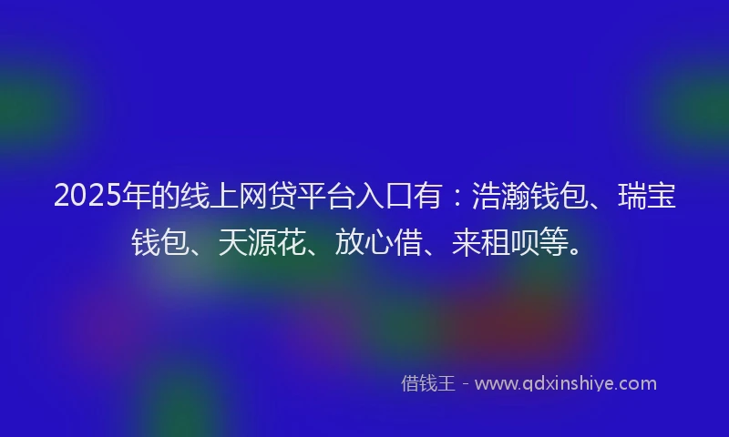2025年的线上网贷平台入口有：浩瀚钱包、瑞宝钱包、天源花、放心借、来租呗等。