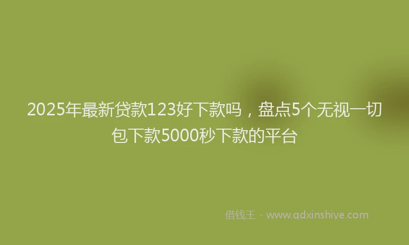 2025年最新贷款123好下款吗，盘点5个无视一切包下款5000秒下款的平台