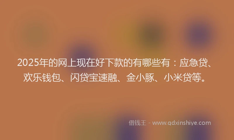 2025年的网上现在好下款的有哪些有：应急贷、欢乐钱包、闪贷宝速融、金小豚、小米贷等。