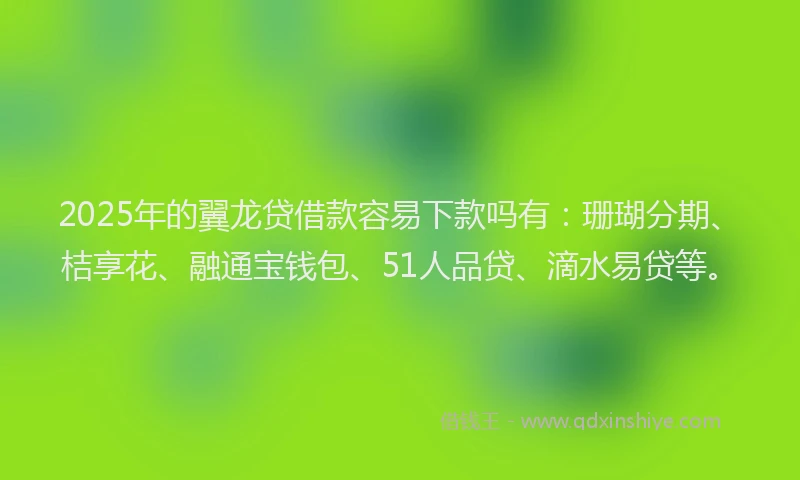 2025年的翼龙贷借款容易下款吗有：珊瑚分期、桔享花、融通宝钱包、51人品贷、滴水易贷等。