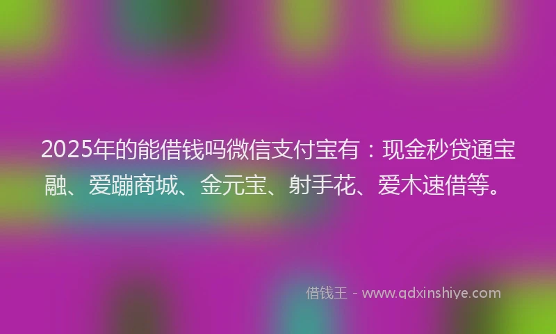 2025年的能借钱吗微信支付宝有：现金秒贷通宝融、爱蹦商城、金元宝、射手花、爱木速借等。