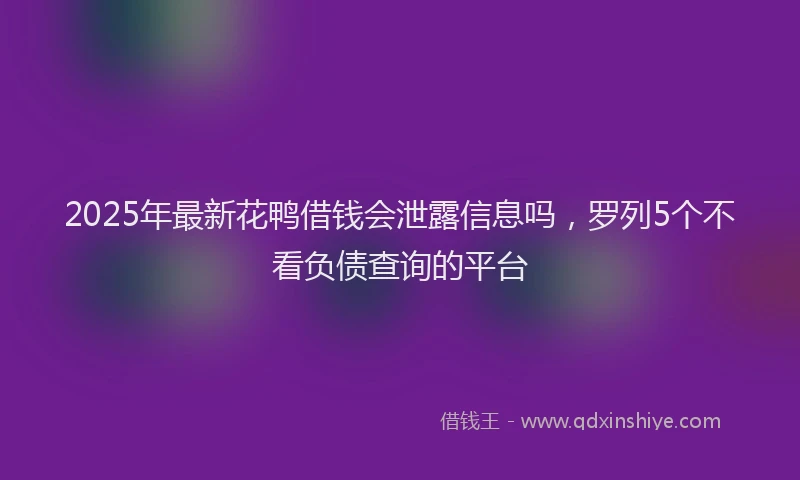 2025年最新花鸭借钱会泄露信息吗，罗列5个不看负债查询的平台