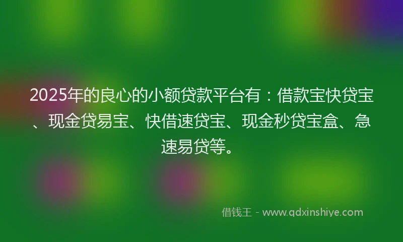 2025年的良心的小额贷款平台有：借款宝快贷宝、现金贷易宝、快借速贷宝、现金秒贷宝盒、急速易贷等。