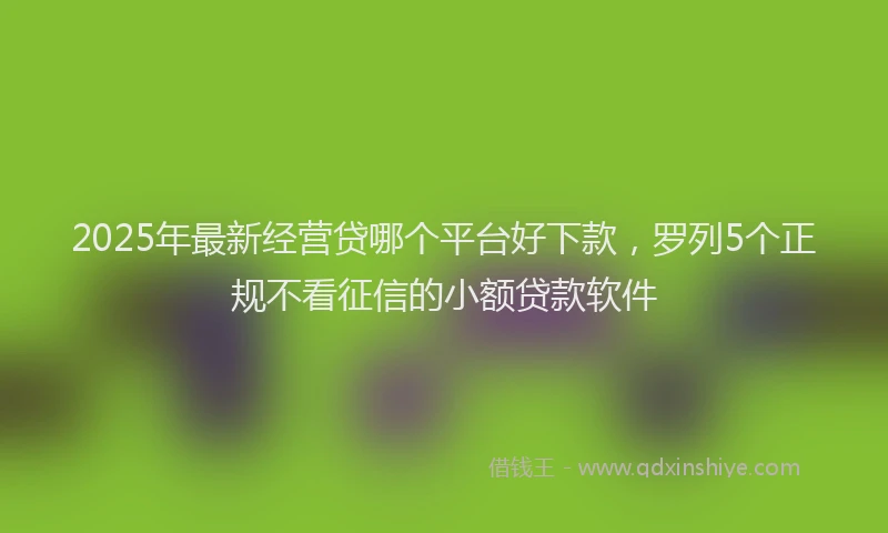 2025年最新经营贷哪个平台好下款，罗列5个正规不看征信的小额贷款软件