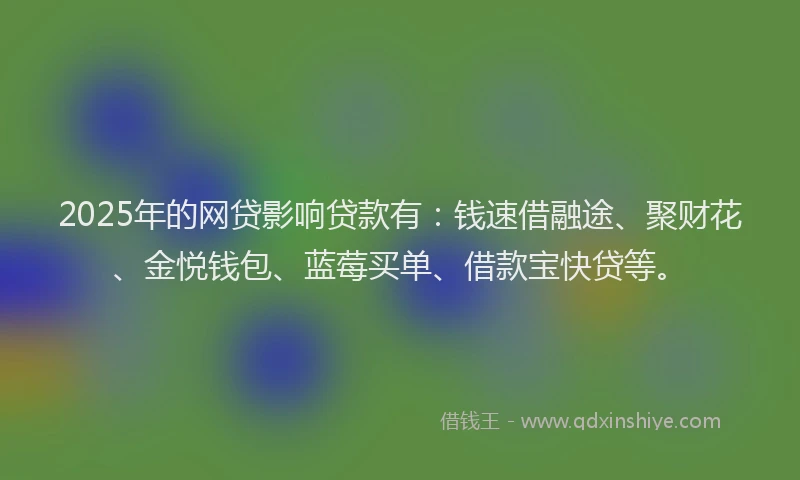 2025年的网贷影响贷款有：钱速借融途、聚财花、金悦钱包、蓝莓买单、借款宝快贷等。
