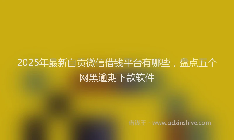 2025年最新自贡微信借钱平台有哪些，盘点五个网黑逾期下款软件
