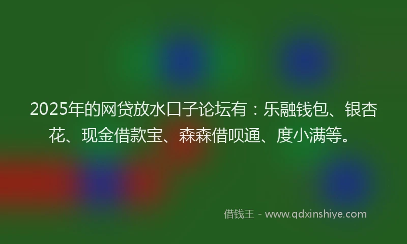 2025年的网贷放水口子论坛有：乐融钱包、银杏花、现金借款宝、森森借呗通、度小满等。
