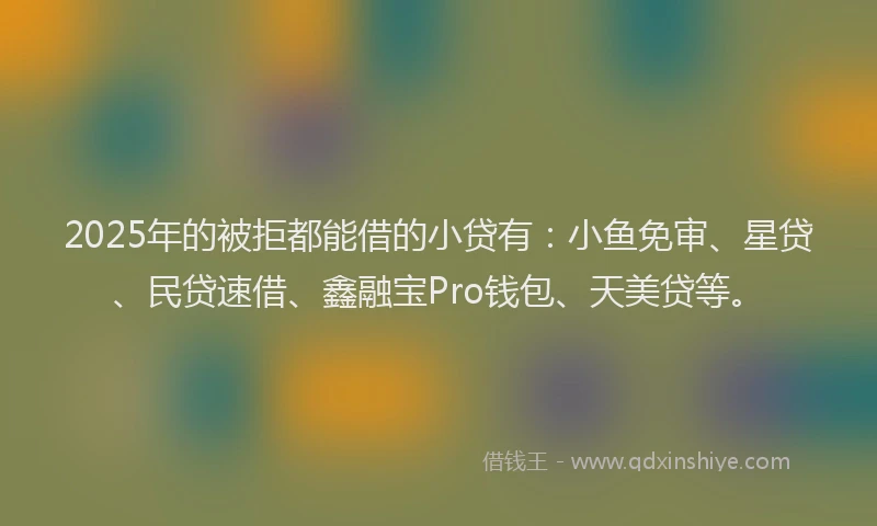 2025年的被拒都能借的小贷有：小鱼免审、星贷、民贷速借、鑫融宝Pro钱包、天美贷等。
