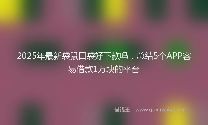 2025年最新袋鼠口袋好下款吗，总结5个APP容易借款1万块的平台