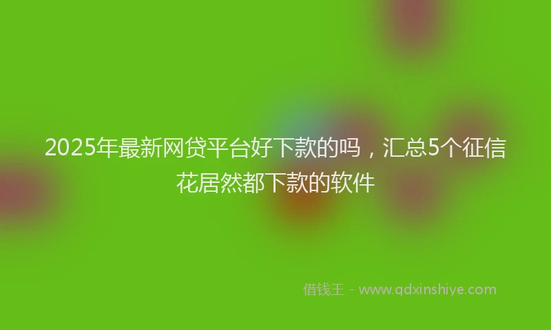 2025年最新网贷平台好下款的吗，汇总5个征信花居然都下款的软件