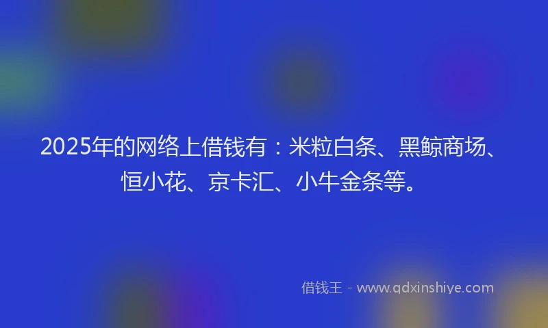 2025年的网络上借钱有：米粒白条、黑鲸商场、恒小花、京卡汇、小牛金条等。