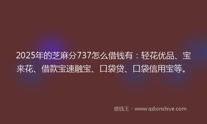 2025年的芝麻分737怎么借钱有：轻花优品、宝来花、借款宝速融宝、口袋贷、口袋信用宝等。