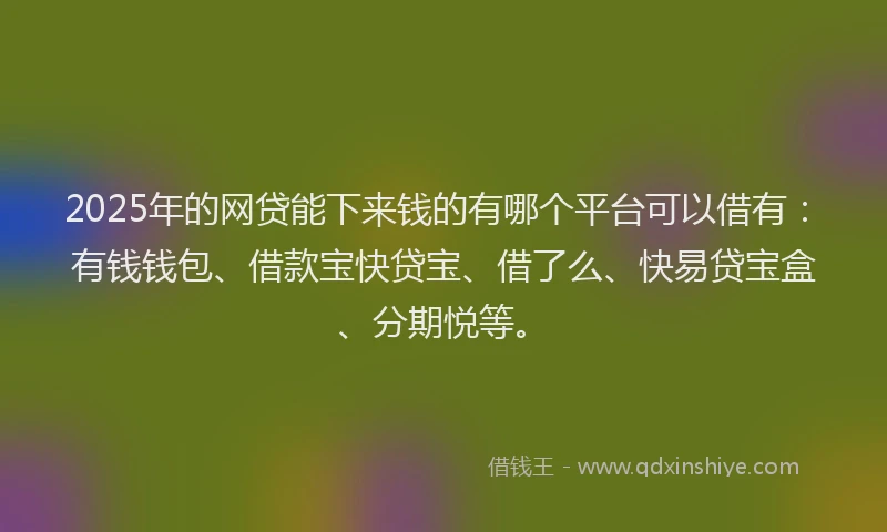 2025年的网贷能下来钱的有哪个平台可以借有：有钱钱包、借款宝快贷宝、借了么、快易贷宝盒、分期悦等。