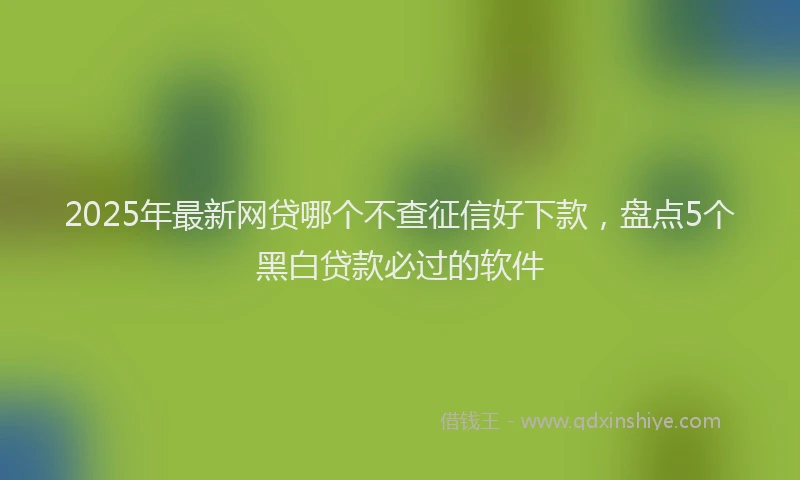 2025年最新网贷哪个不查征信好下款，盘点5个黑白贷款必过的软件