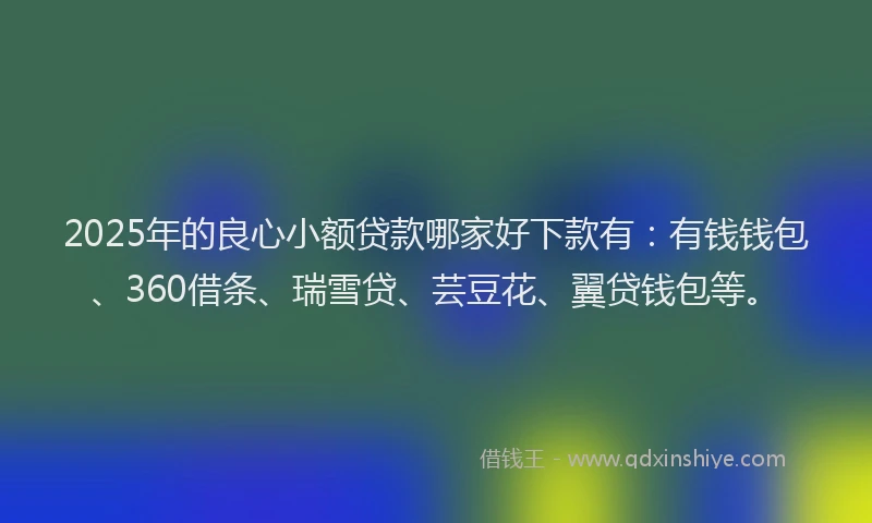 2025年的良心小额贷款哪家好下款有：有钱钱包、360借条、瑞雪贷、芸豆花、翼贷钱包等。