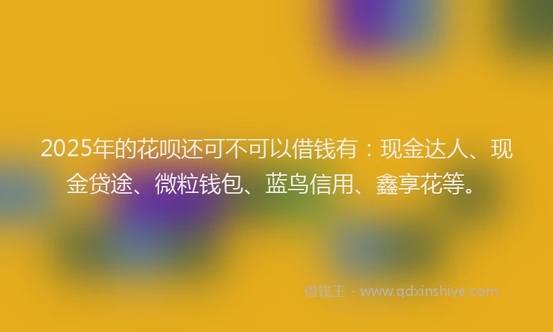 2025年的花呗还可不可以借钱有：现金达人、现金贷途、微粒钱包、蓝鸟信用、鑫享花等。
