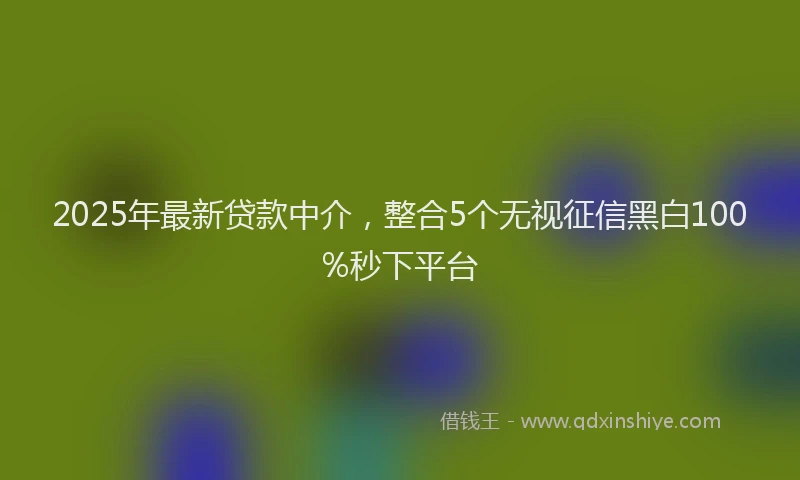 2025年最新贷款中介，整合5个无视征信黑白100%秒下平台