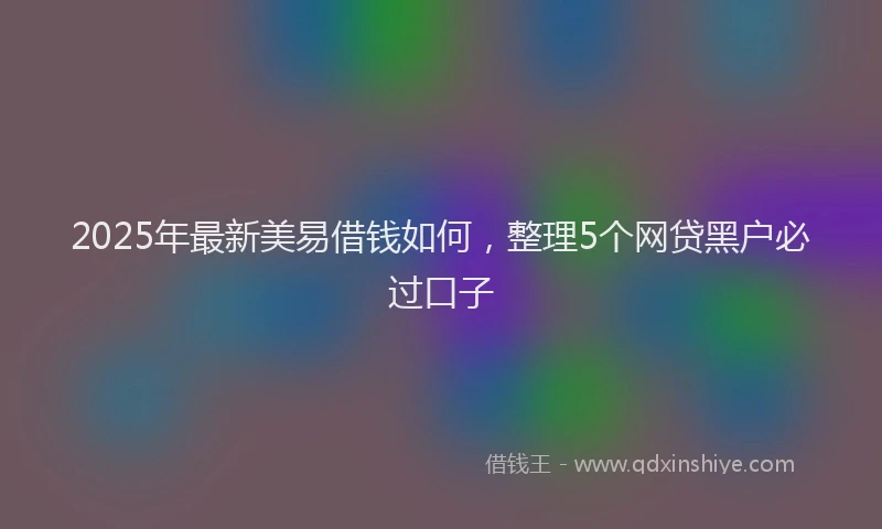 2025年最新美易借钱如何，整理5个网贷黑户必过口子