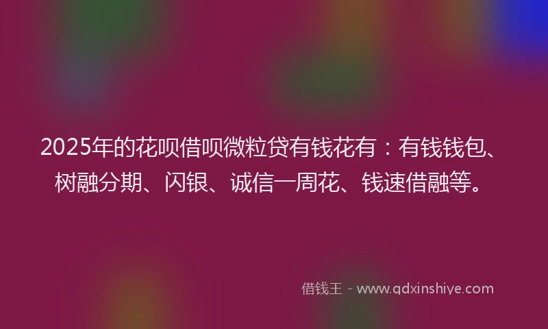 2025年的花呗借呗微粒贷有钱花有：有钱钱包、树融分期、闪银、诚信一周花、钱速借融等。