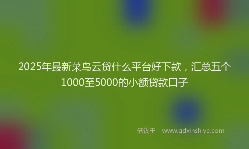 2025年最新菜鸟云贷什么平台好下款，汇总五个1000至5000的小额贷款口子
