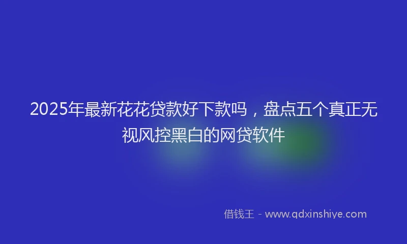 2025年最新花花贷款好下款吗，盘点五个真正无视风控黑白的网贷软件