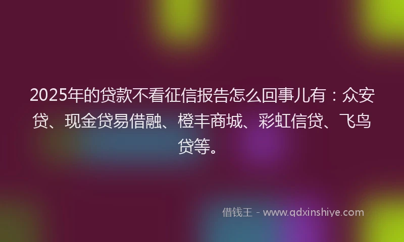 2025年的贷款不看征信报告怎么回事儿有：众安贷、现金贷易借融、橙丰商城、彩虹信贷、飞鸟贷等。