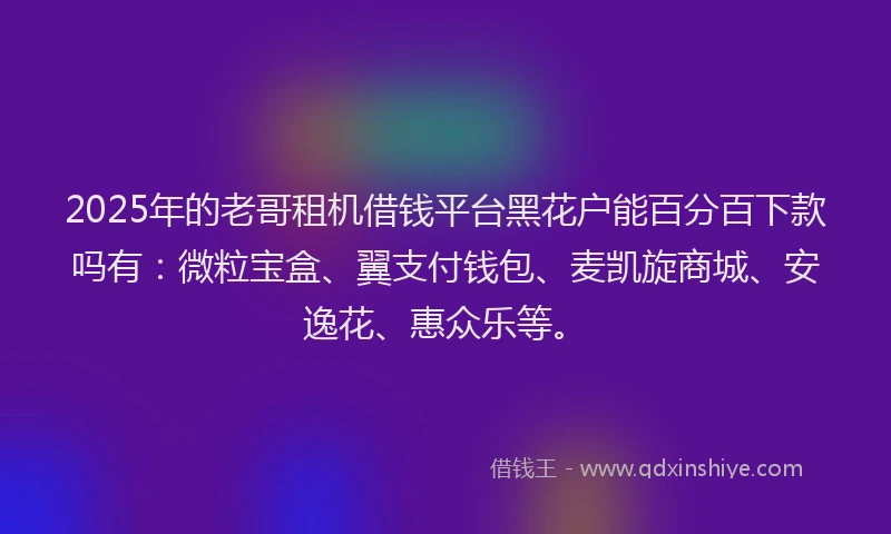 2025年的老哥租机借钱平台黑花户能百分百下款吗有：微粒宝盒、翼支付钱包、麦凯旋商城、安逸花、惠众乐等。
