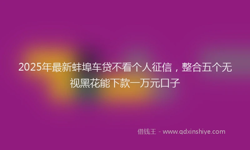 2025年最新蚌埠车贷不看个人征信，整合五个无视黑花能下款一万元口子