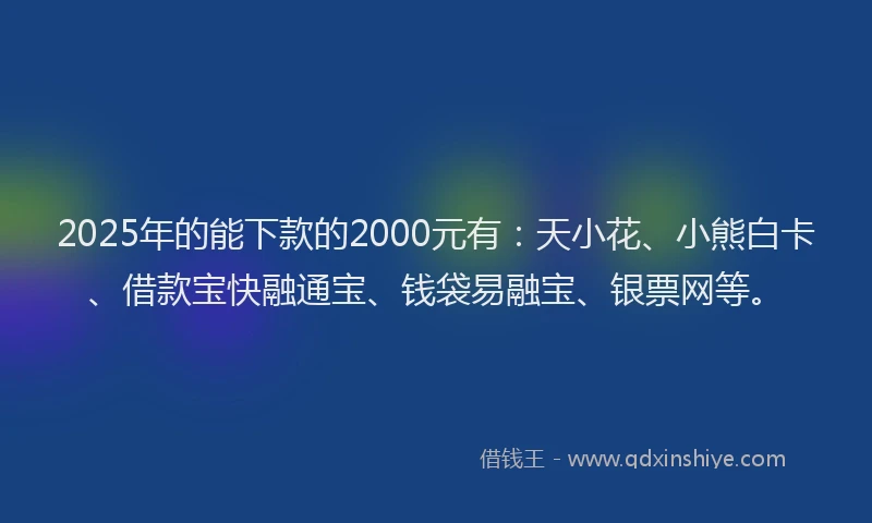 2025年的能下款的2000元有：天小花、小熊白卡、借款宝快融通宝、钱袋易融宝、银票网等。