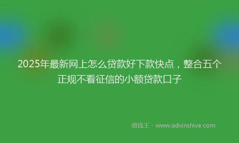 2025年最新网上怎么贷款好下款快点，整合五个正规不看征信的小额贷款口子