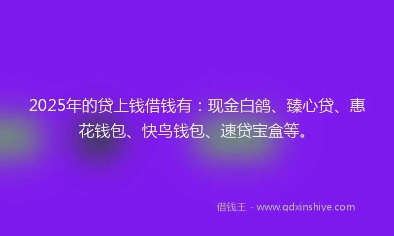 2025年的贷上钱借钱有：现金白鸽、臻心贷、惠花钱包、快鸟钱包、速贷宝盒等。