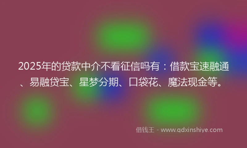 2025年的贷款中介不看征信吗有：借款宝速融通、易融贷宝、星梦分期、口袋花、魔法现金等。