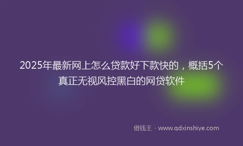 2025年最新网上怎么贷款好下款快的，概括5个真正无视风控黑白的网贷软件