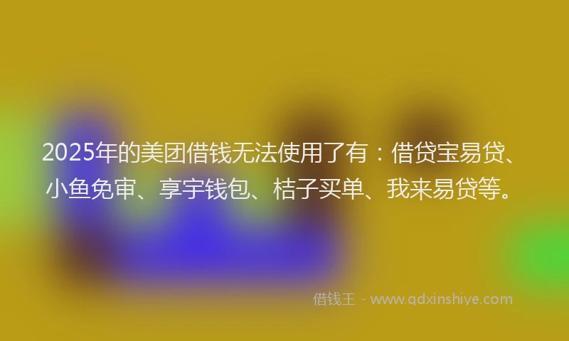 2025年的美团借钱无法使用了有：借贷宝易贷、小鱼免审、享宇钱包、桔子买单、我来易贷等。