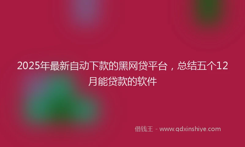 2025年最新自动下款的黑网贷平台，总结五个12月能贷款的软件