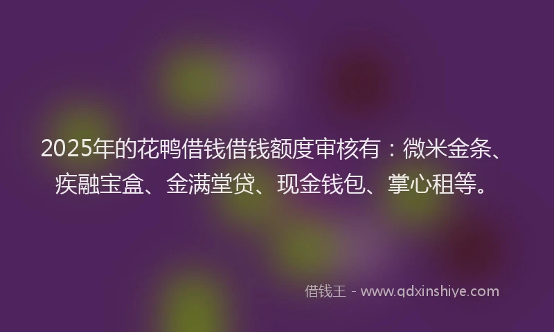 2025年的花鸭借钱借钱额度审核有：微米金条、疾融宝盒、金满堂贷、现金钱包、掌心租等。