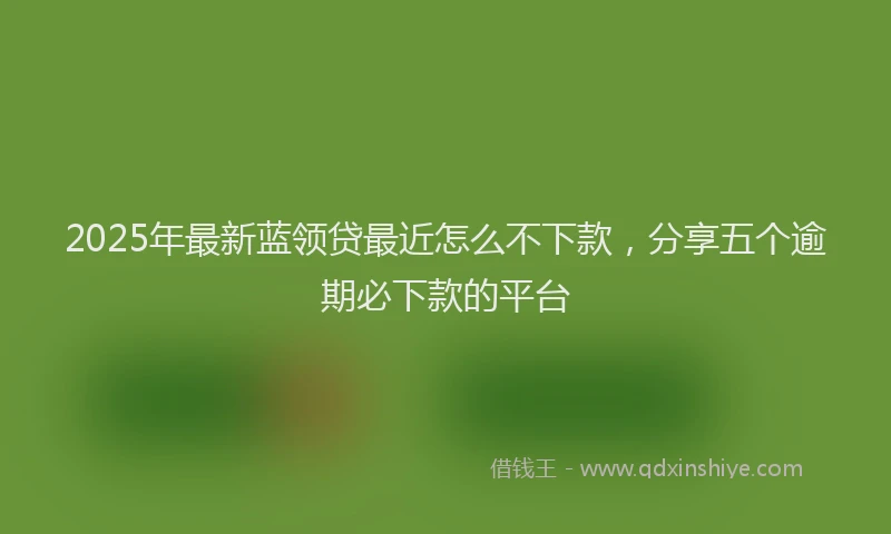 2025年最新蓝领贷最近怎么不下款，分享五个逾期必下款的平台