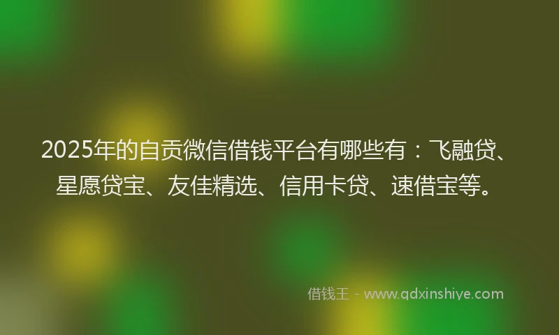 2025年的自贡微信借钱平台有哪些有：飞融贷、星愿贷宝、友佳精选、信用卡贷、速借宝等。