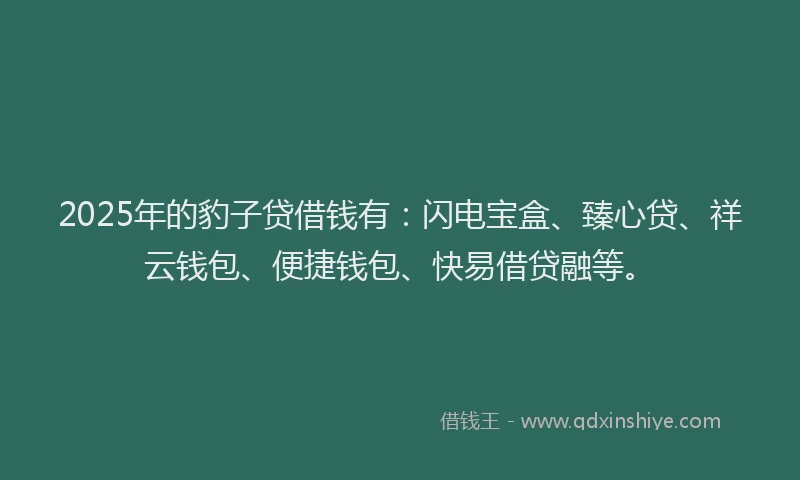 2025年的豹子贷借钱有：闪电宝盒、臻心贷、祥云钱包、便捷钱包、快易借贷融等。