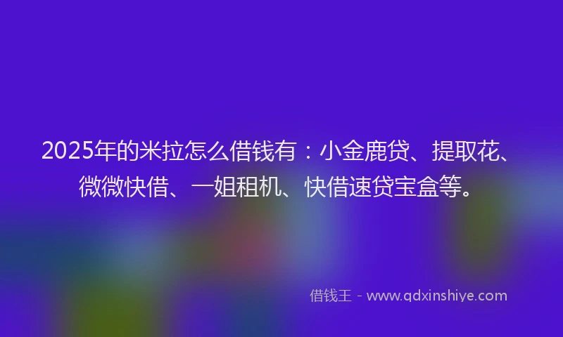 2025年的米拉怎么借钱有：小金鹿贷、提取花、微微快借、一姐租机、快借速贷宝盒等。