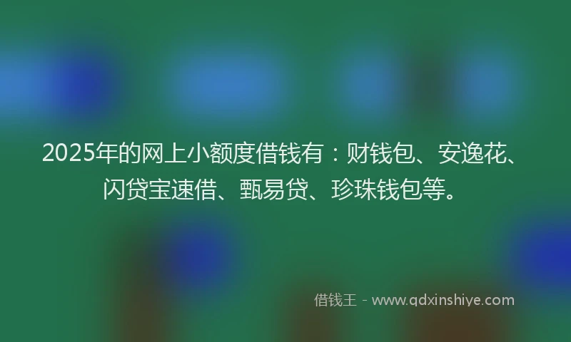 2025年的网上小额度借钱有：财钱包、安逸花、闪贷宝速借、甄易贷、珍珠钱包等。