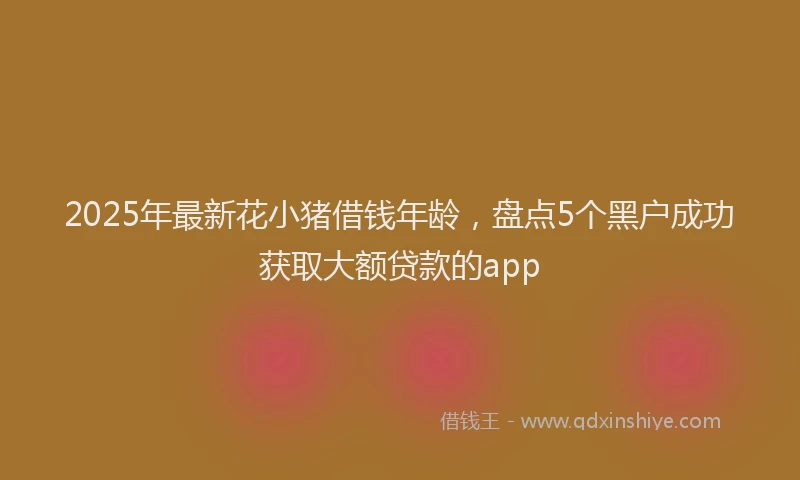 2025年最新花小猪借钱年龄，盘点5个黑户成功获取大额贷款的app