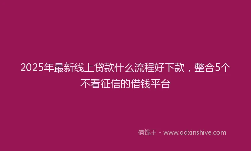2025年最新线上贷款什么流程好下款，整合5个不看征信的借钱平台