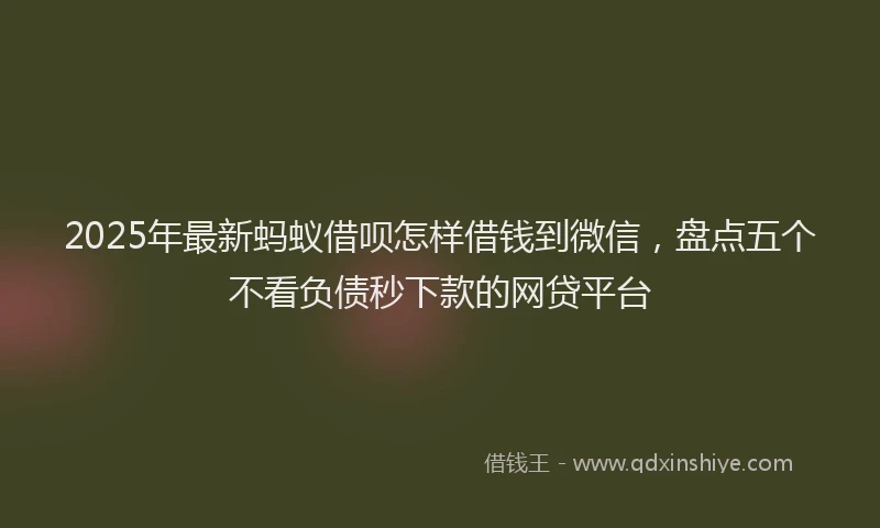 2025年最新蚂蚁借呗怎样借钱到微信，盘点五个不看负债秒下款的网贷平台