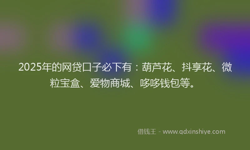2025年的网贷口子必下有：葫芦花、抖享花、微粒宝盒、爱物商城、哆哆钱包等。